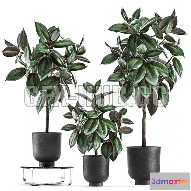 1567752 - Collection of decorative small trees in black pots Set 848 3D Max