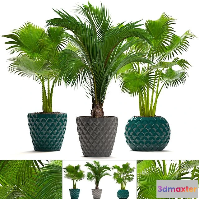 1567776 - Collection of plants 214 3D Max