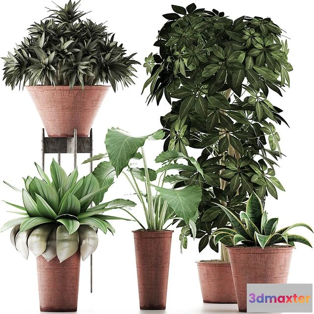 1569556 - Plants Collection 35 3D Max