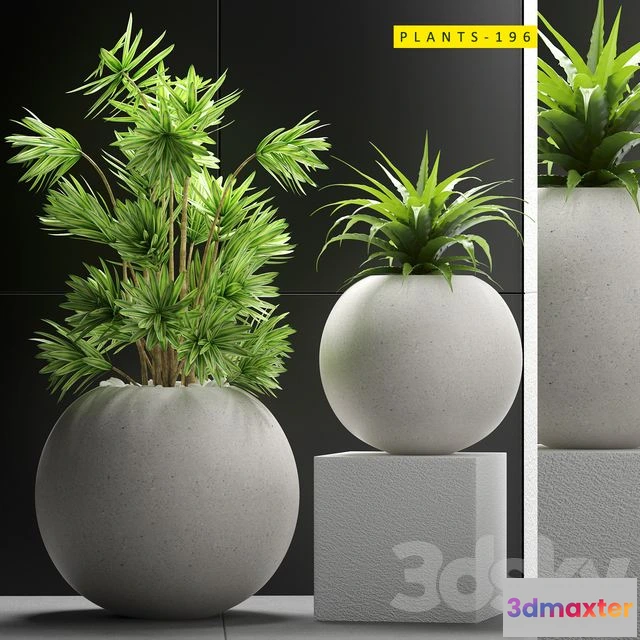 1569558 - Plants set 196 3D Max