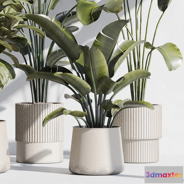 1569602 - indoor plant set 75 3D Max