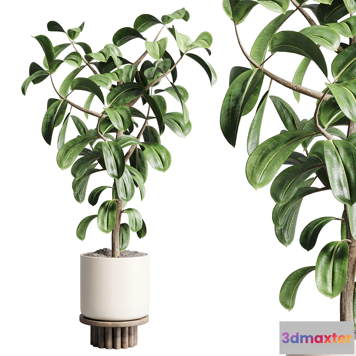 541975 - Indoor outdoor plant 106 wood vase pot ficus rubbery