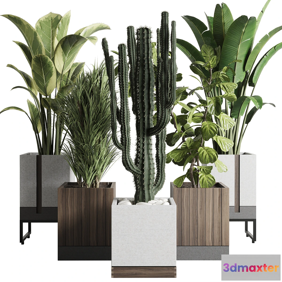 542279 - Plant box_Indoor outdoor plant 163 wooden and concrete dirt vase box pot palm cactus Collection