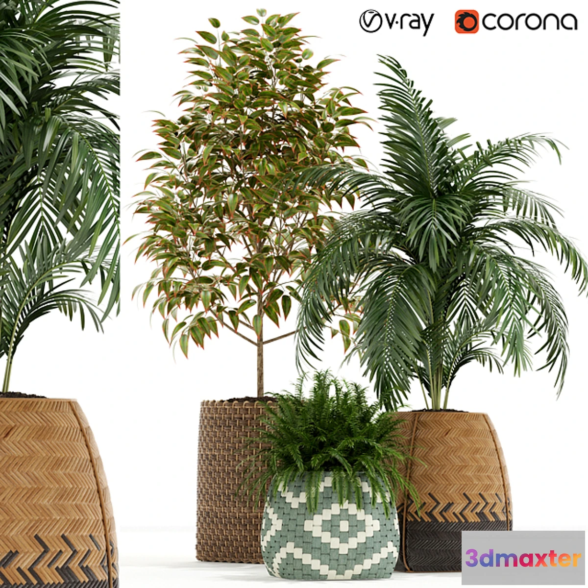 572308 - Plants collection 126