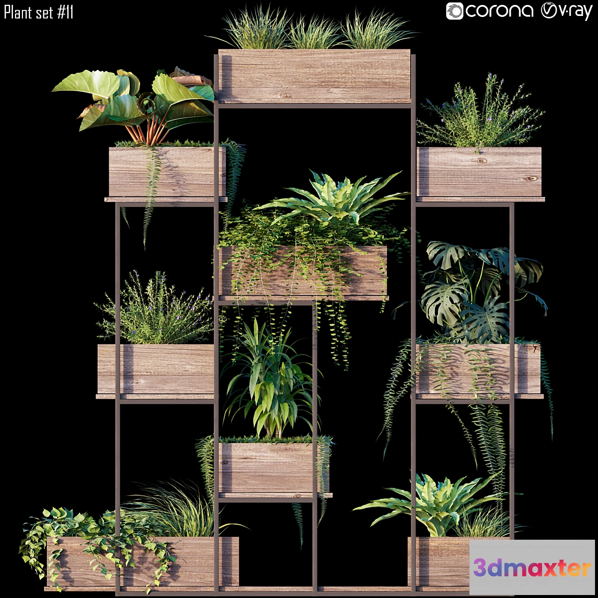 572332 - Plant set # 11