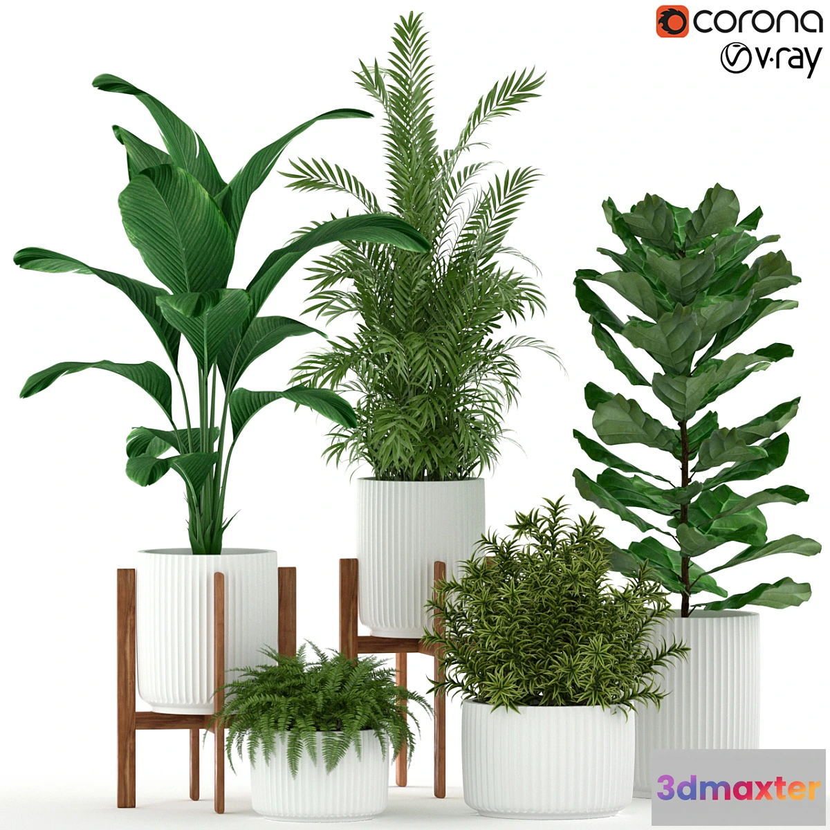 572340 - Plants collection 194