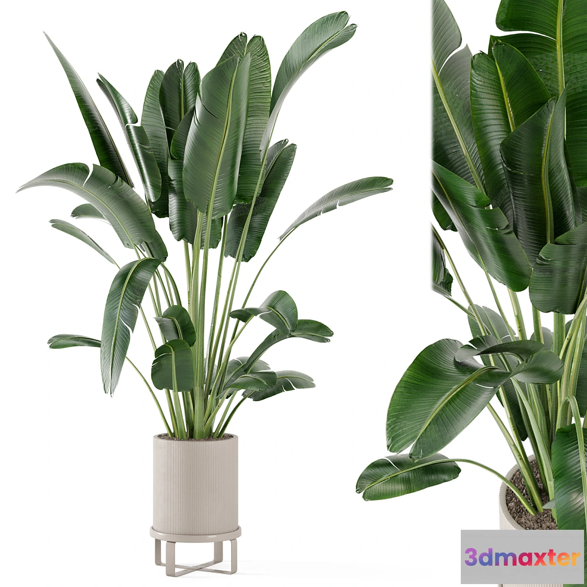 572398 - Indoor Plants in Ferm Living Bau Pot Large - Set 173