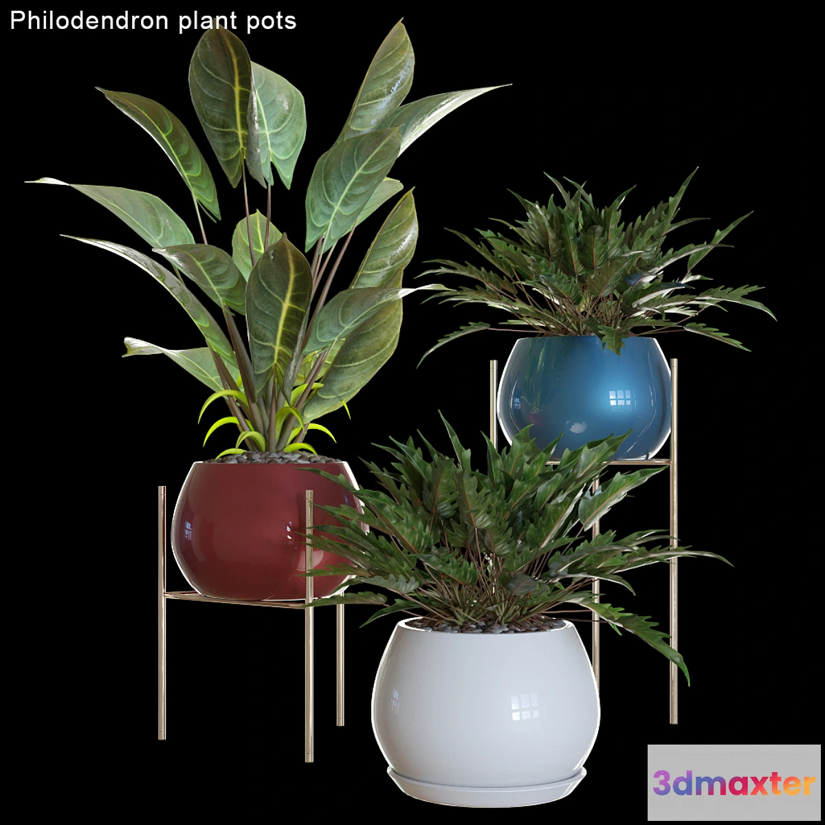 572410 - Philodendron plant pots # 2
