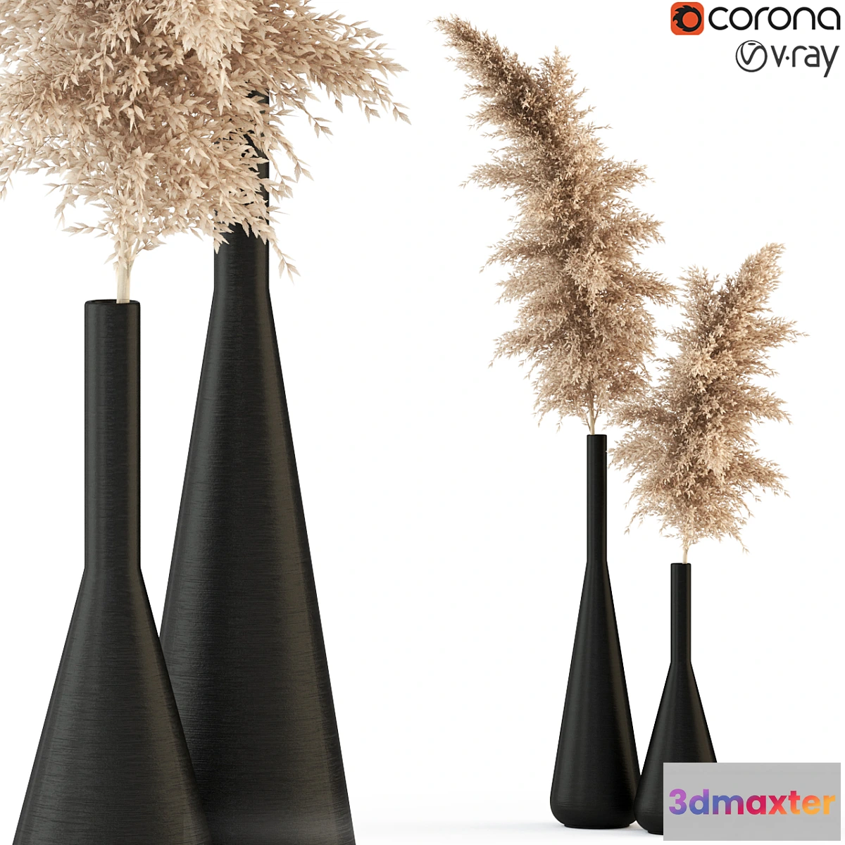 572508 - Plants collection 316