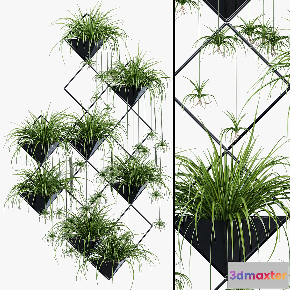 572514 - Ikebana one