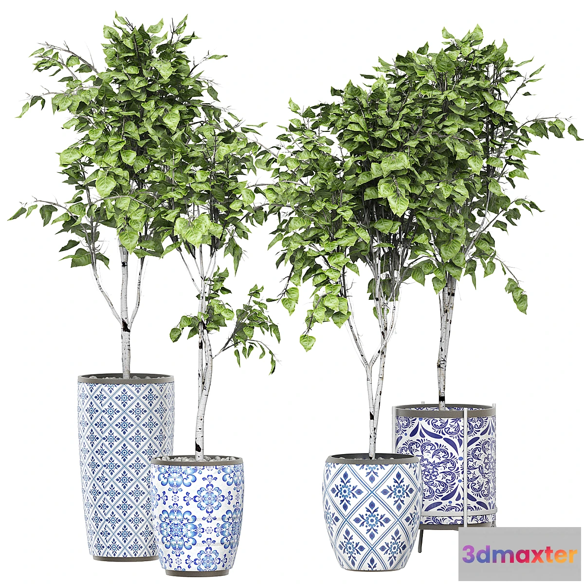 572544 - Flower Pack 147