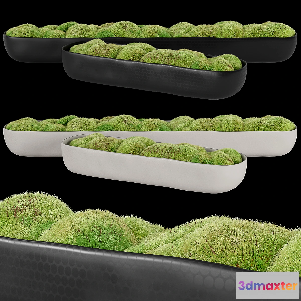 572762 - Rh_organic_sculpted_trough