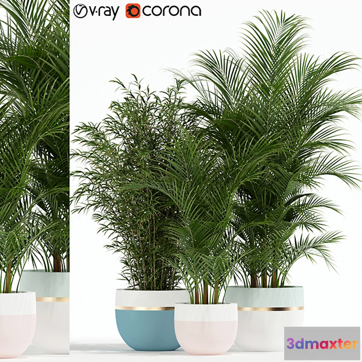 572766 - Plants collection 136