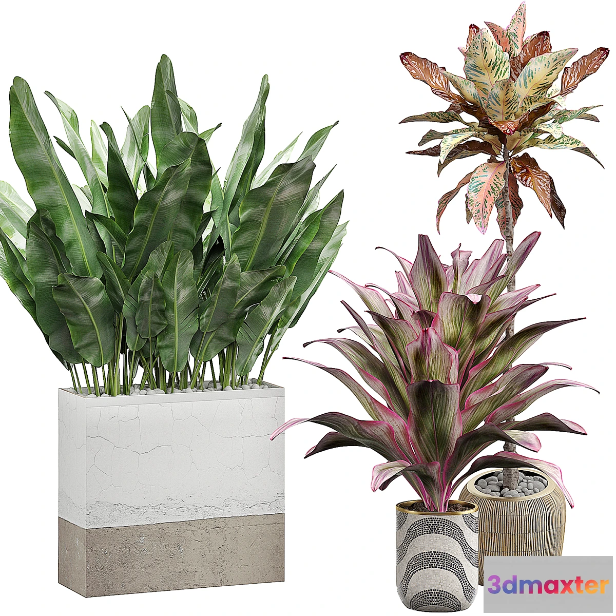 572808 - INTERIOR FLOWER PACK 29