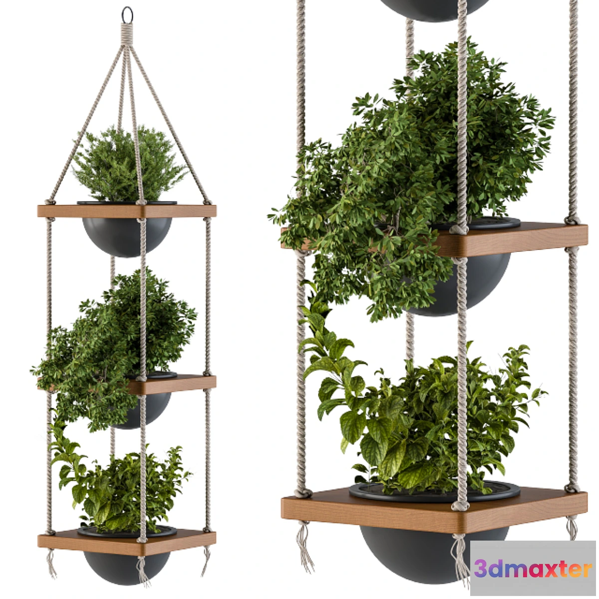 572886 - Hanging Plants Rope and Wood