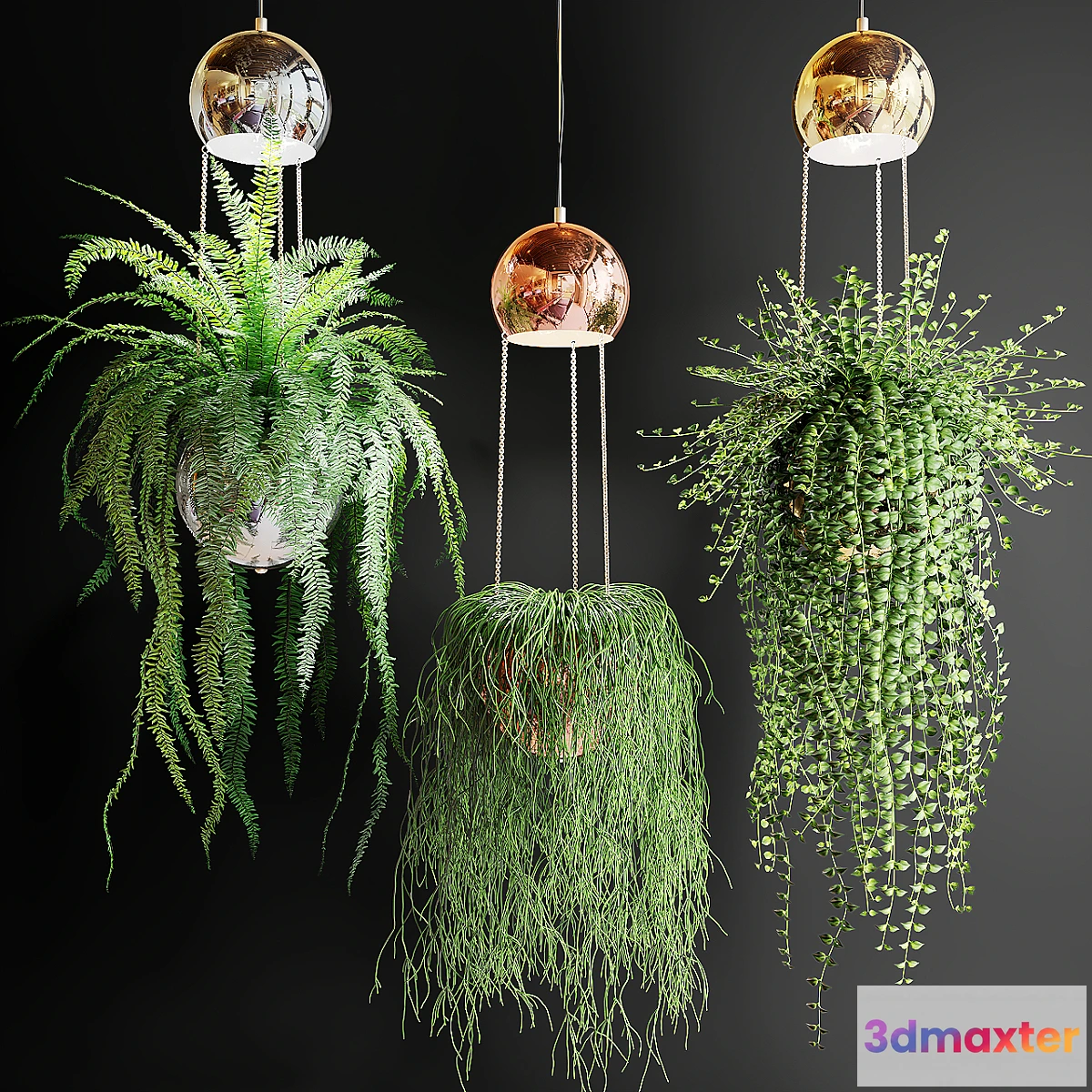 572898 - Ampel plants in pots with lamps