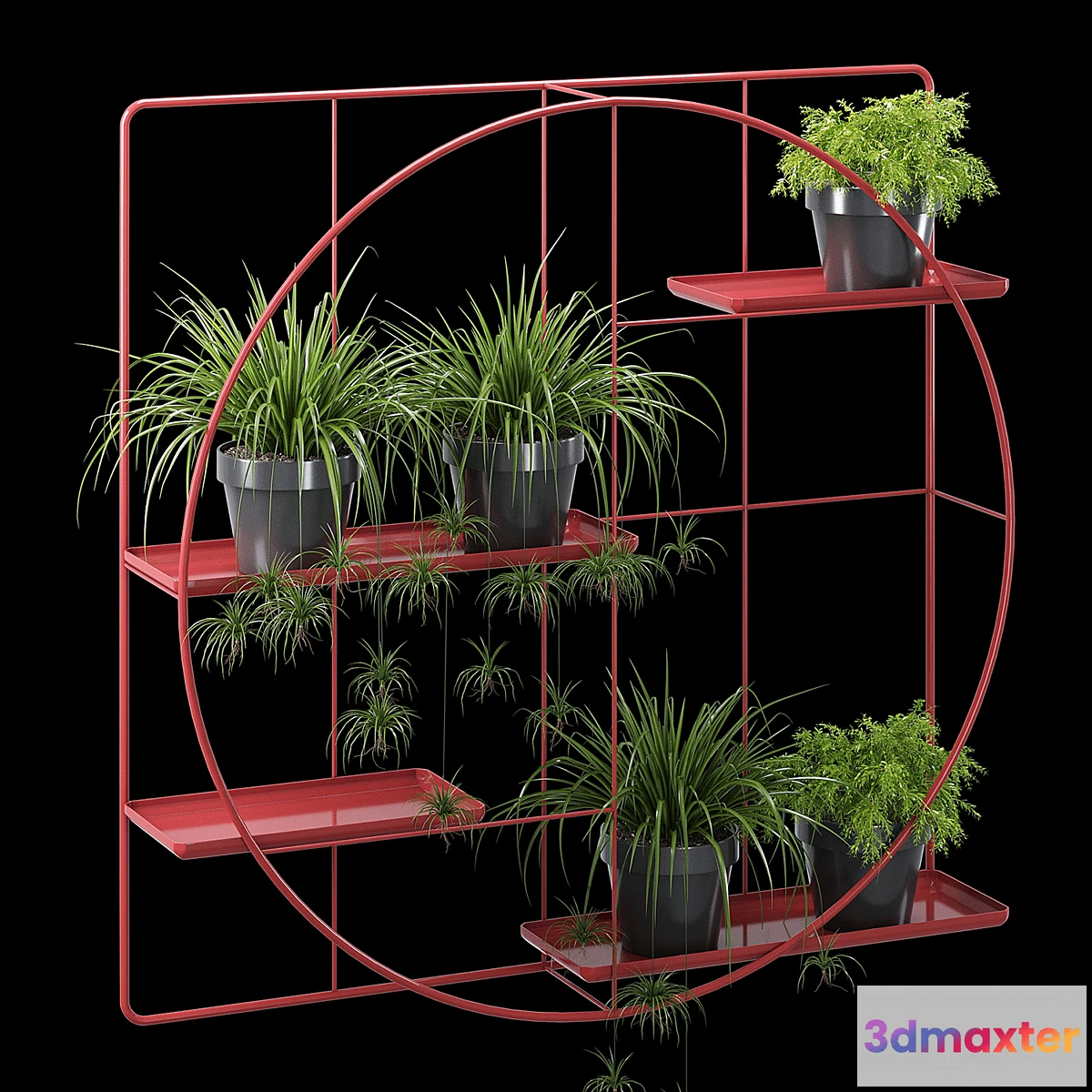 572942 - Kwietnik three