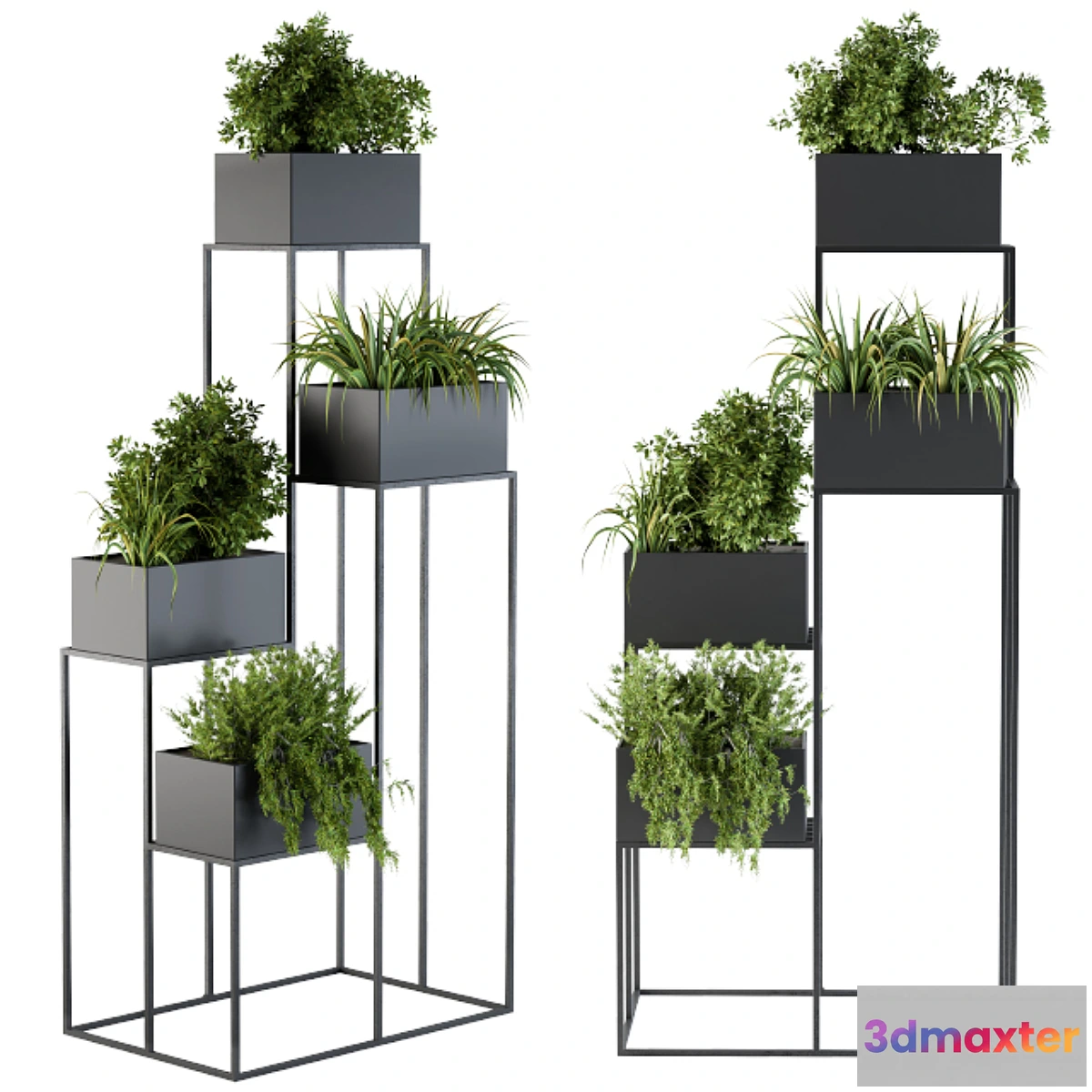 572950 - Black Box Plants on stand