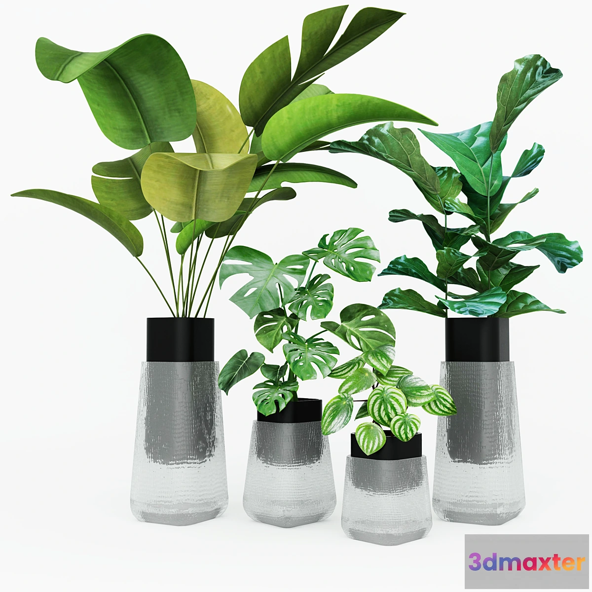 573058 - Plant collection