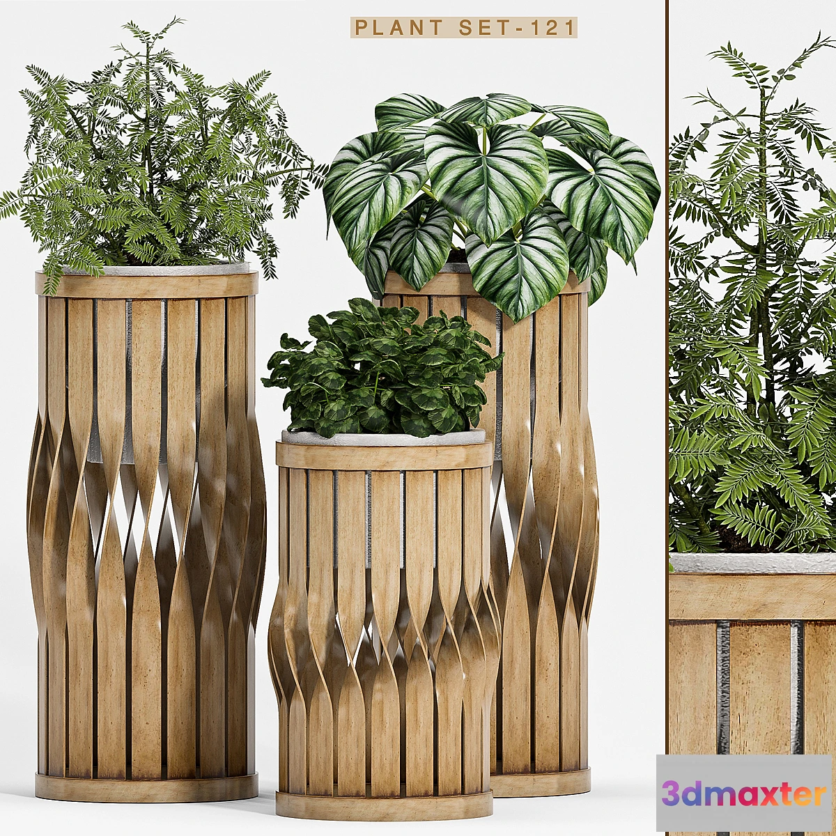 573072 - Plant set-121