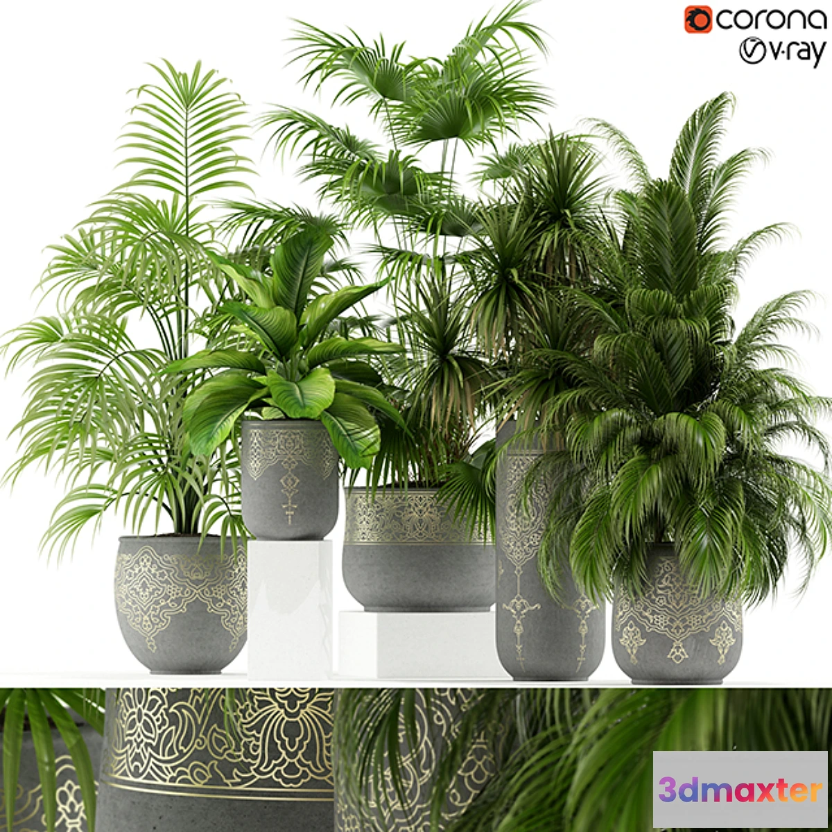 573078 - Plants collection 147 handmade pots East style