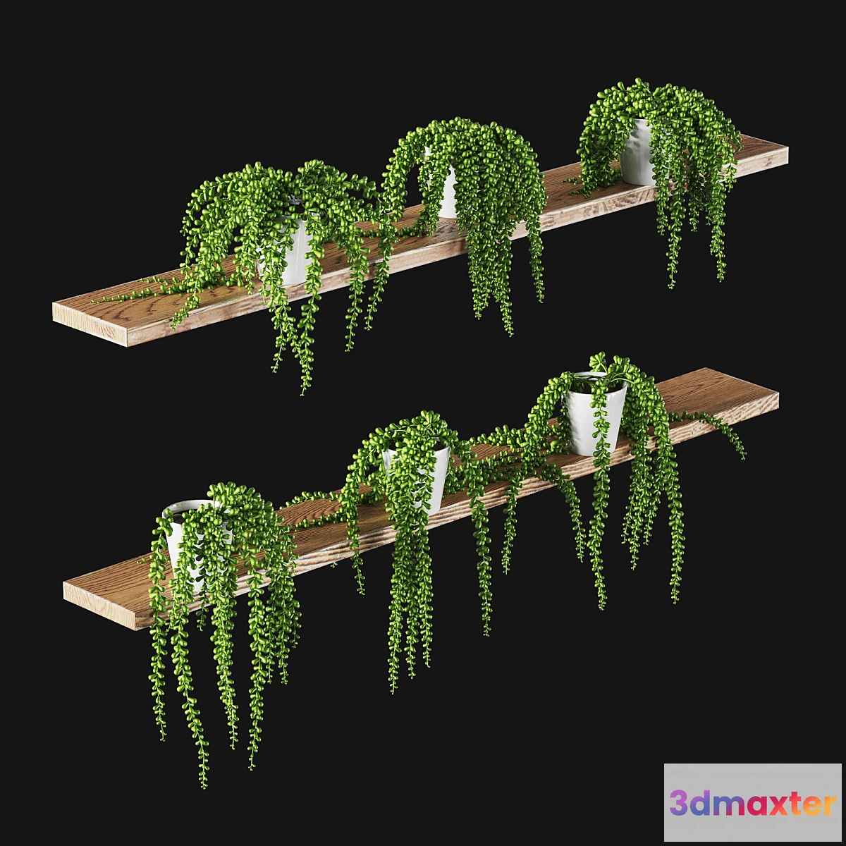 573188 - Succulents. Set of 6 models