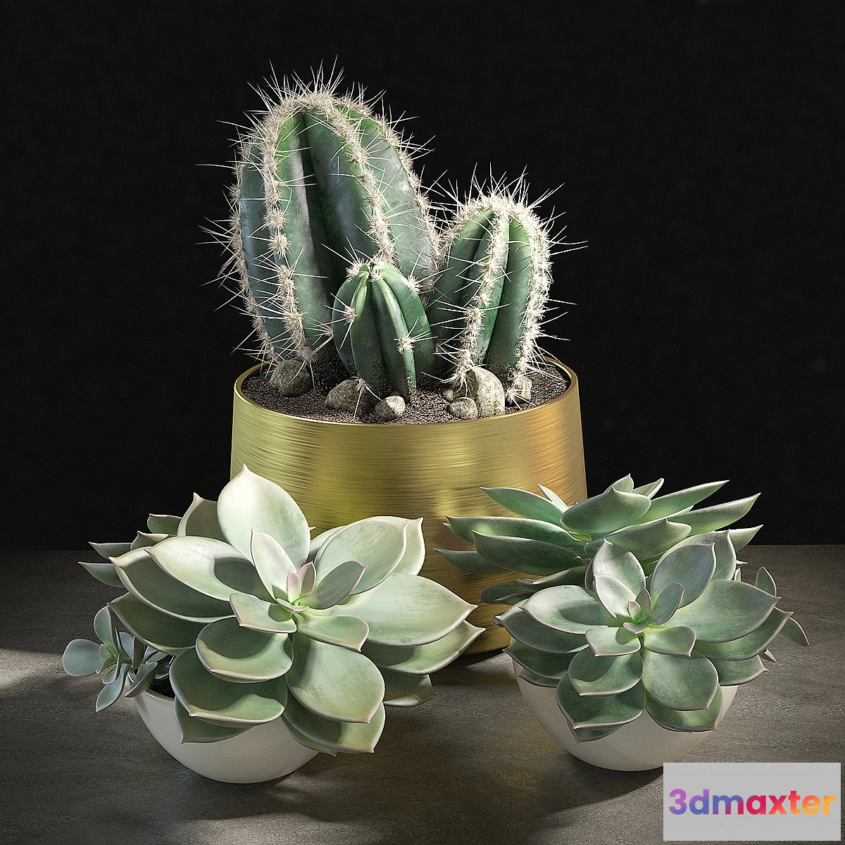 573222 - Set of plants 01