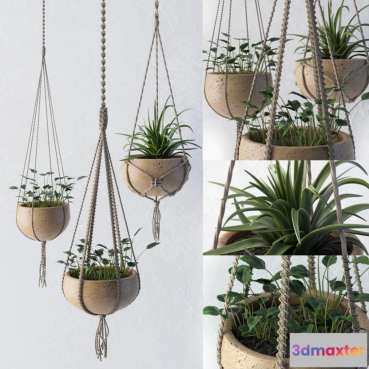 573232 - Decorative set of flower pots