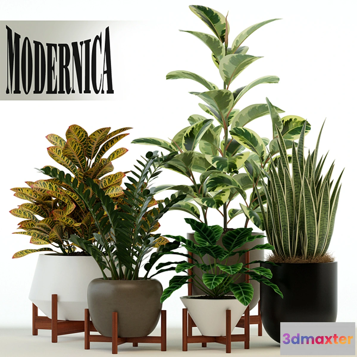 581594 - Plants collection 75 Modernica pots