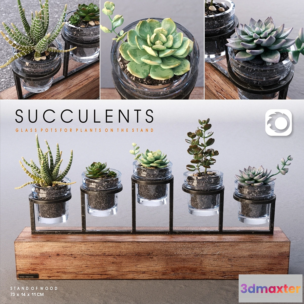 581676 - Succulents_set