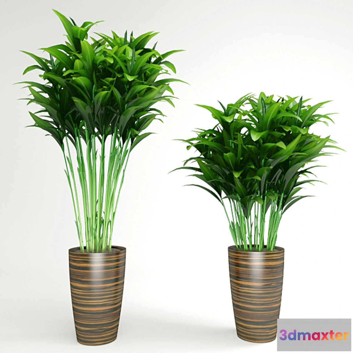 582040 - plant - No.3