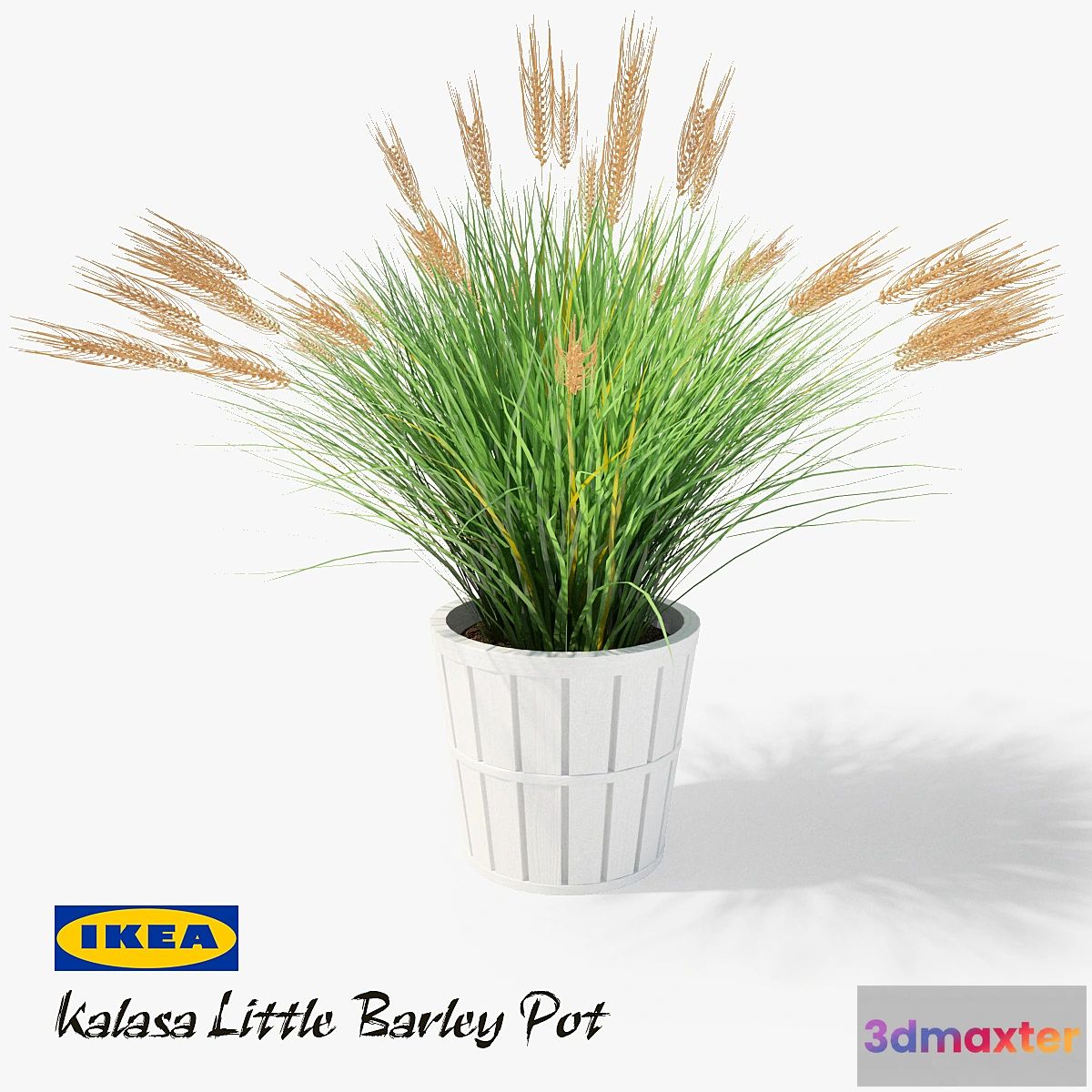582212 - IKEA Kalasa Plant Pot and Little Barley