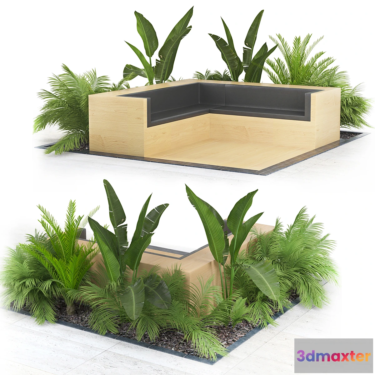 582262 - Flowerbed_Palm