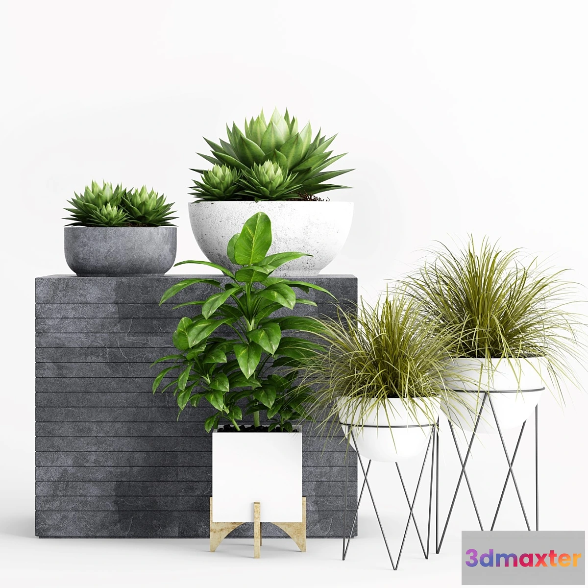 582518 - Plants and Planters _1