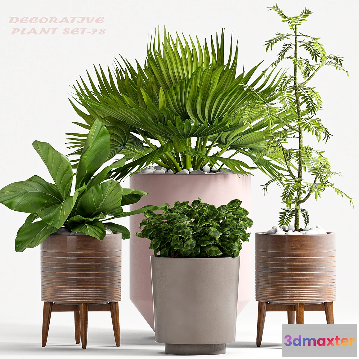 582658 - PLANT SET - 78