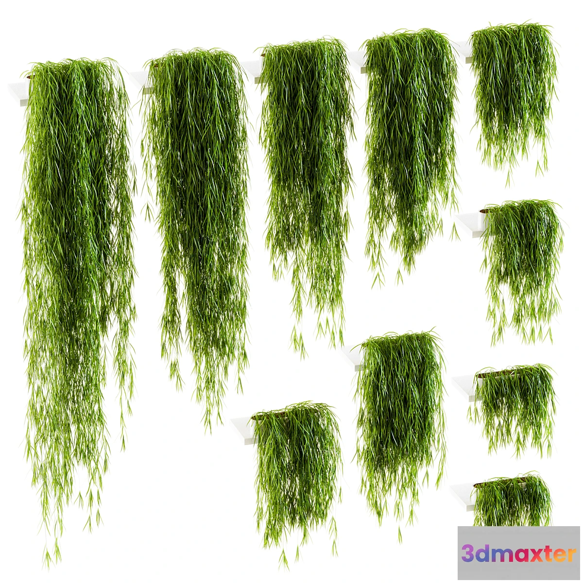 582772 - Plants on the shelves. 10 models