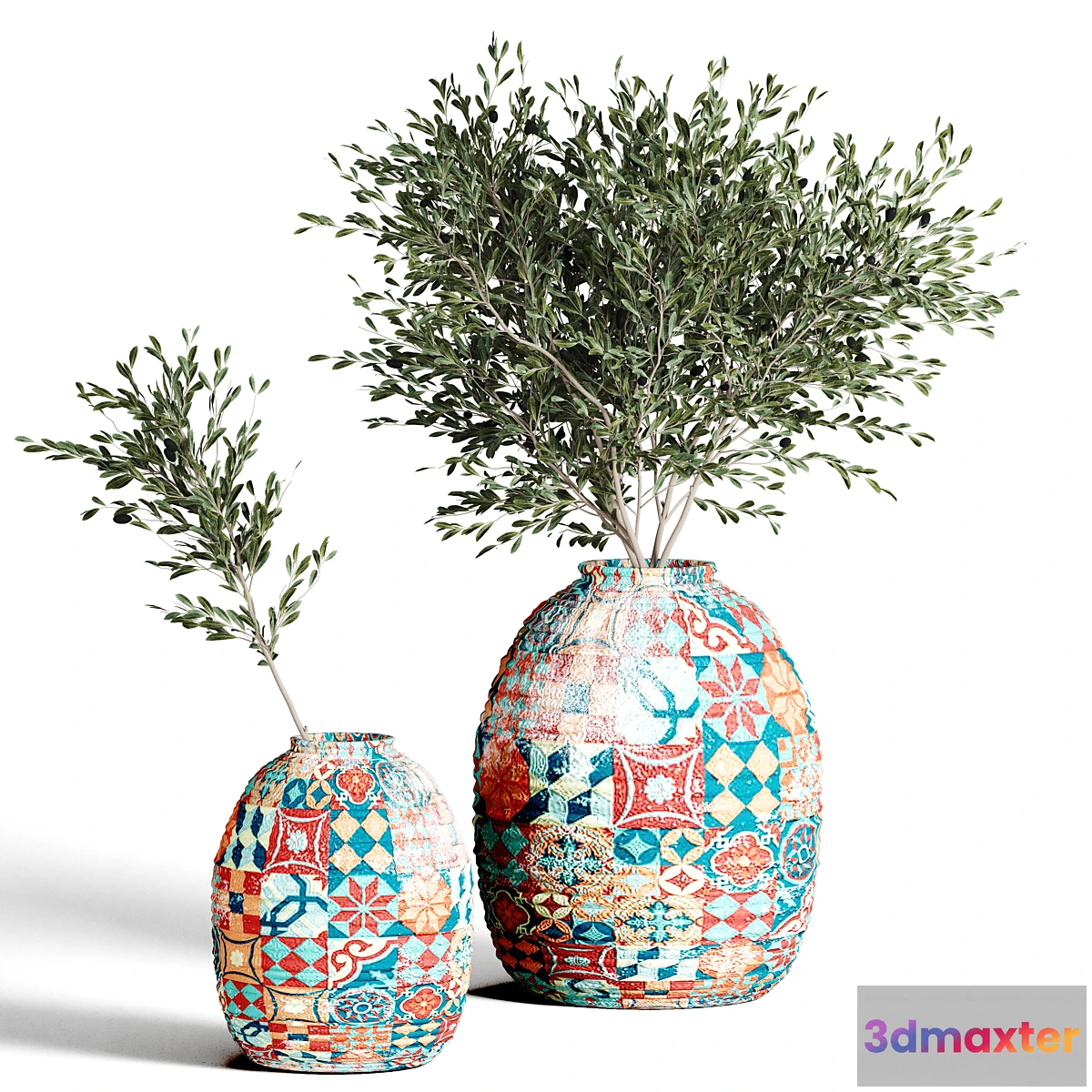 591358 - collection plants indoor 1