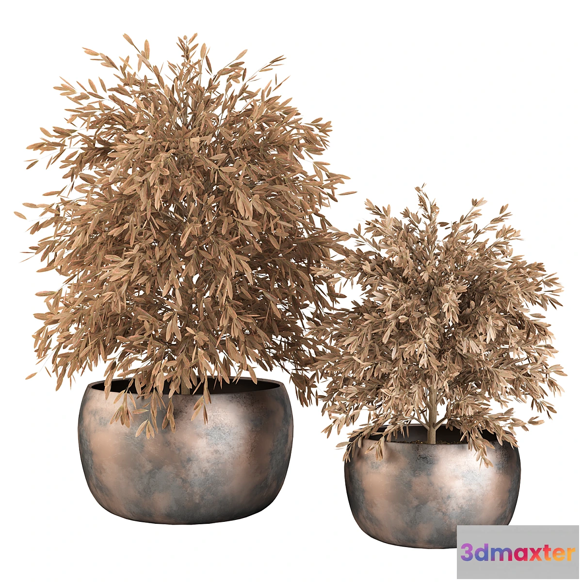 591722 - Indoor Plants (Dried) Set No.9