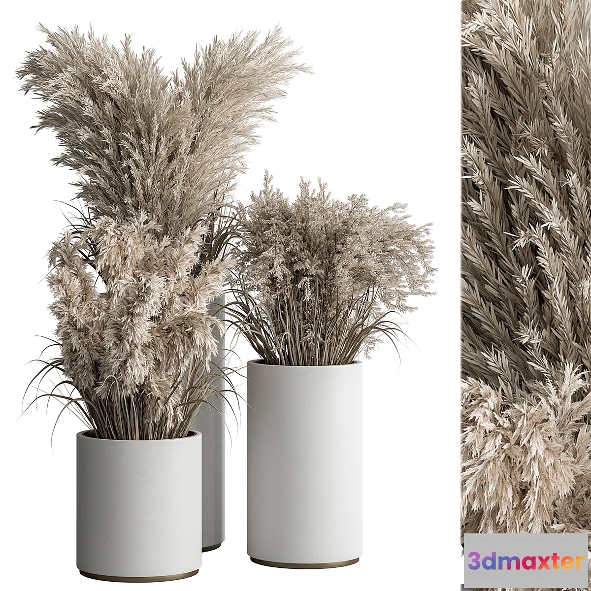 591802 - indoor Plant Set 406 - Dried Plant Set in Pot
