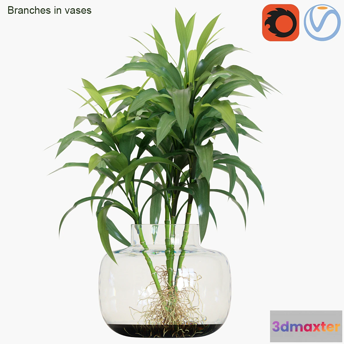 594494 - Branches in vases # 24