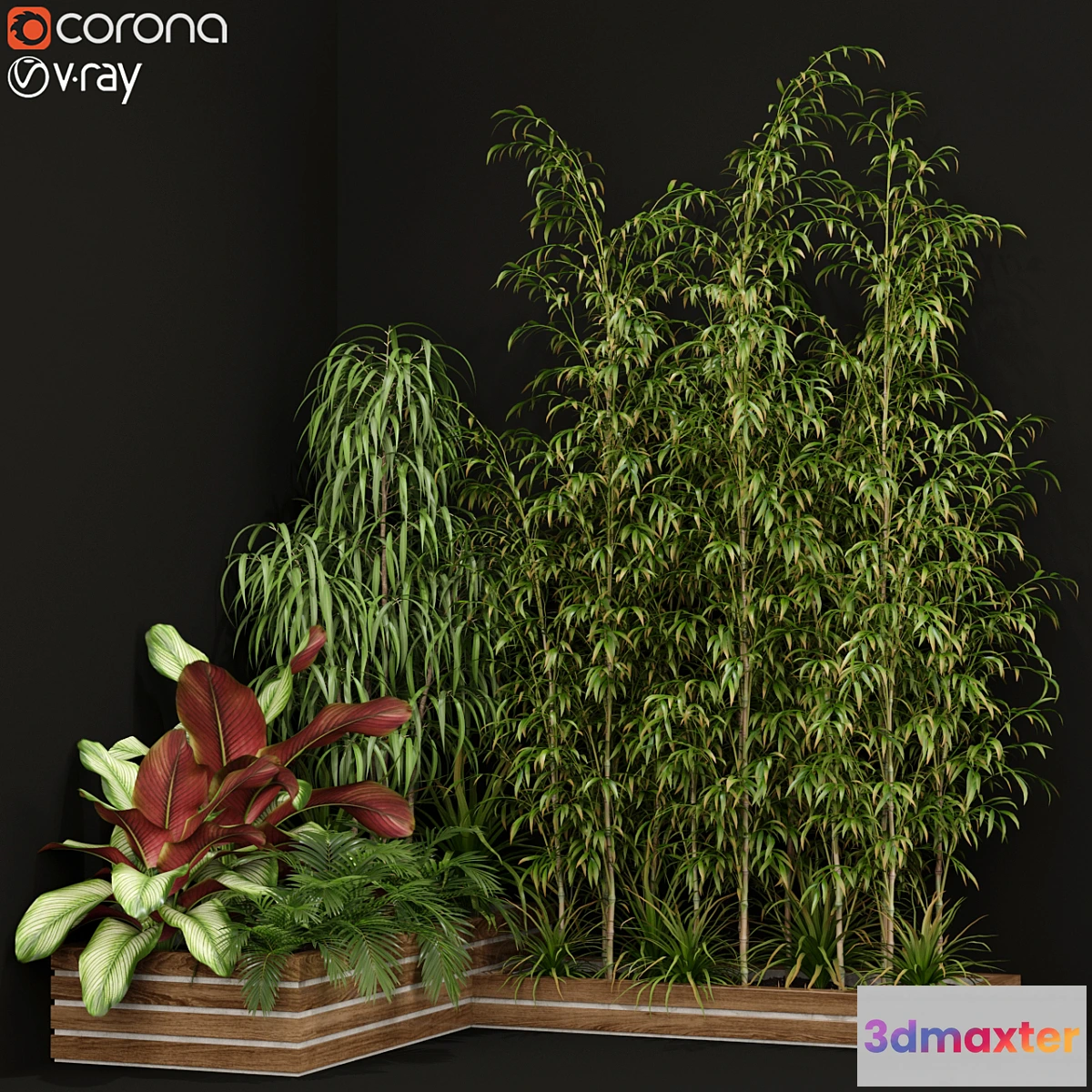 617973 - Plants collection 201