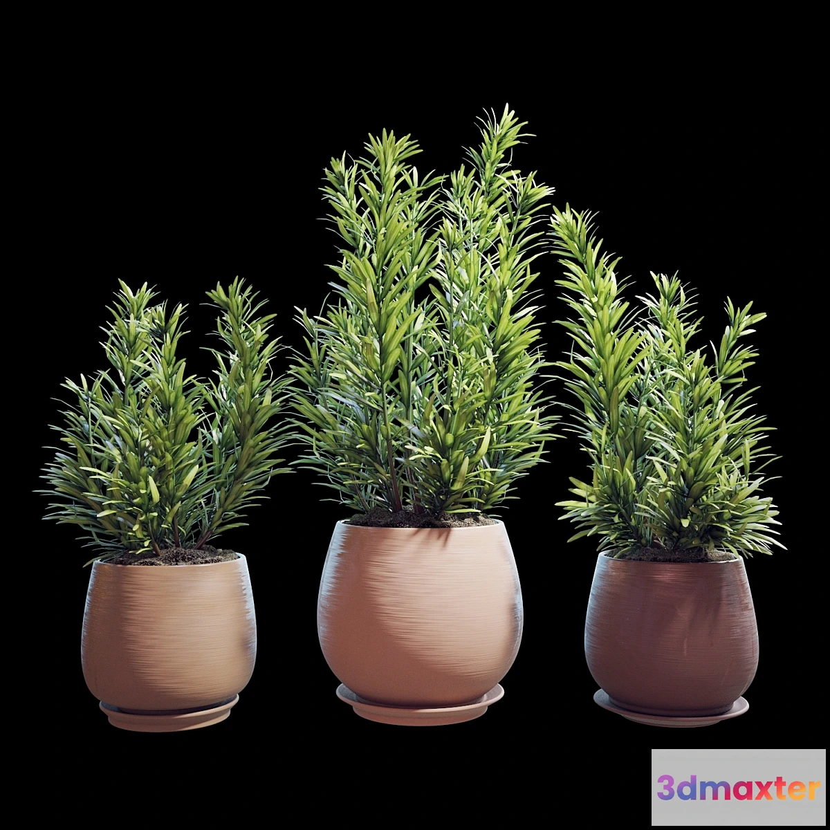 617979 - Plant set 07