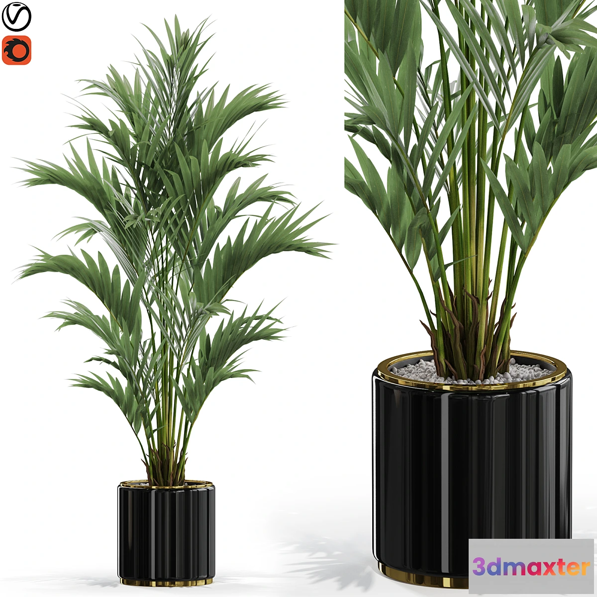 618035 - Plants collection 560