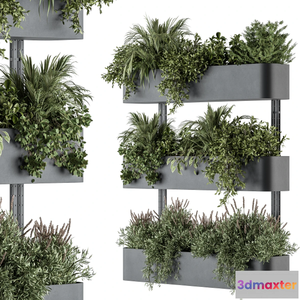 618081 - Indoor Plant Set 306 - Box Stand with Hanging Plants