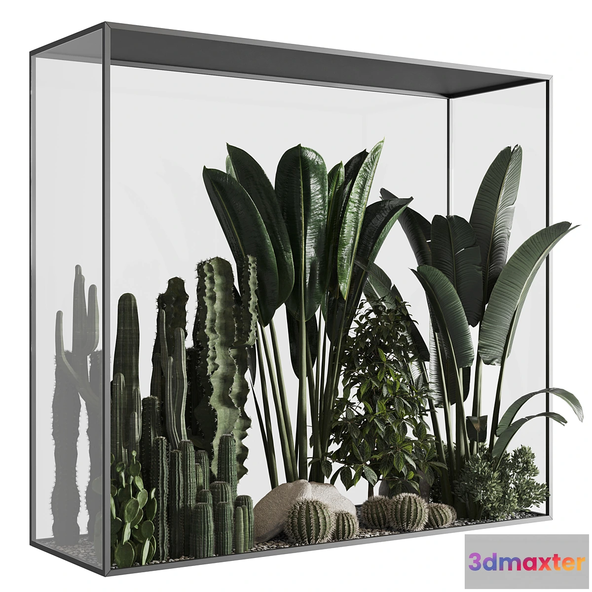 618167 - Plants behind glass 02
