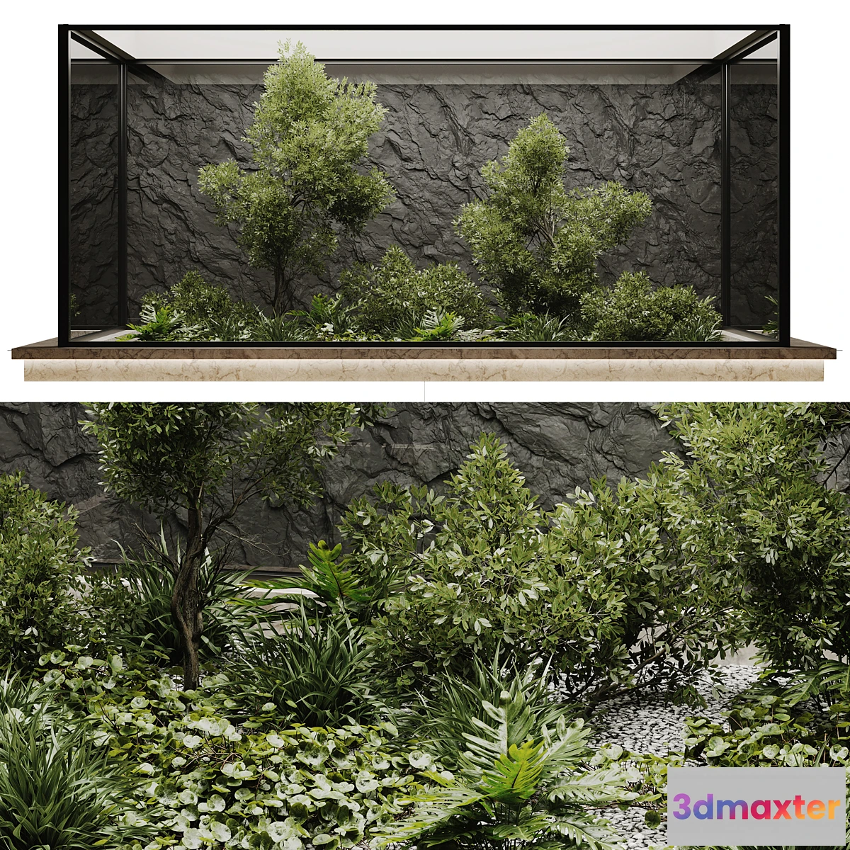 618185 - indoor plant set 50