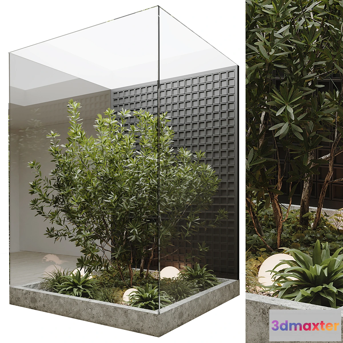 618191 - indoor plant set 60