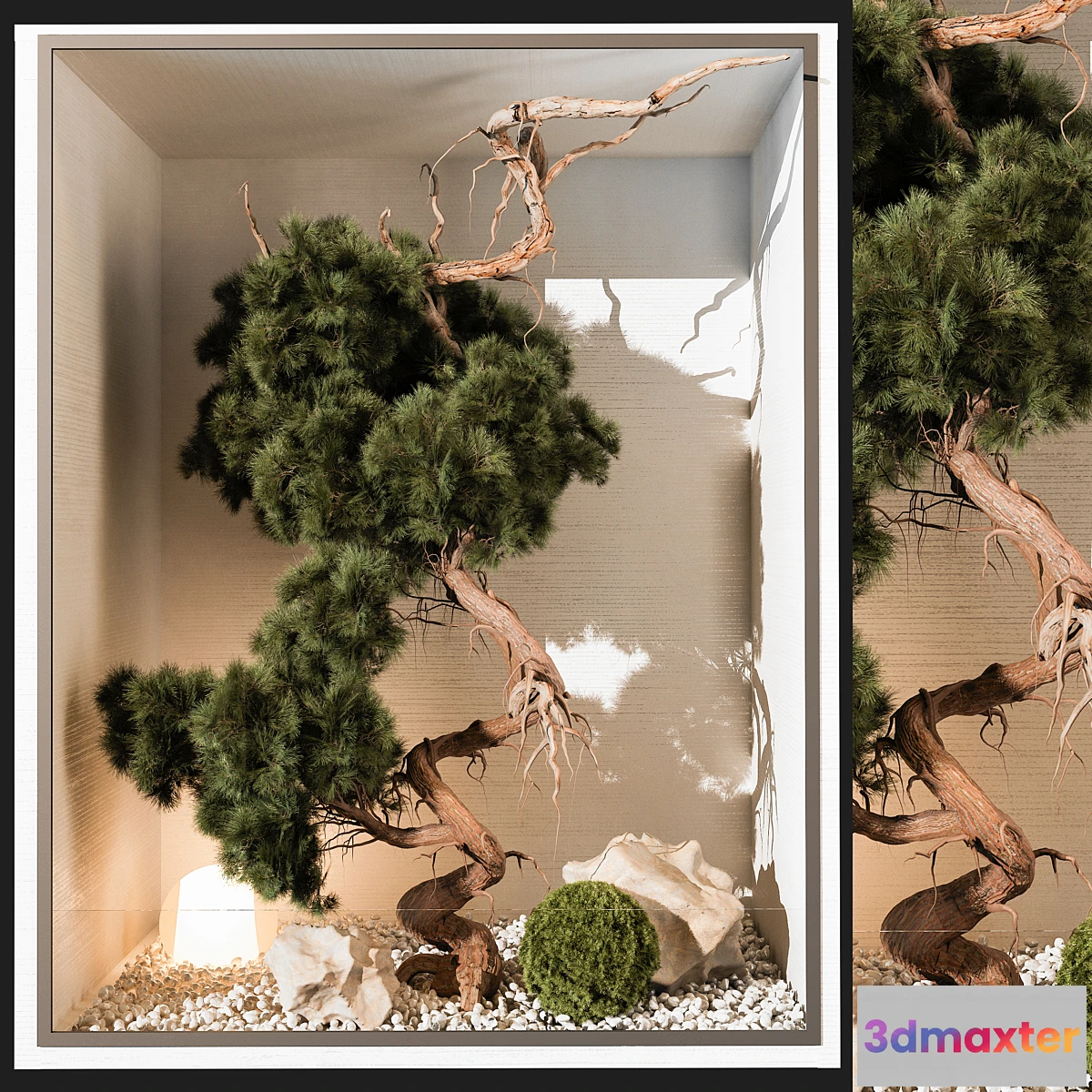 618193 - indoor Plant 252