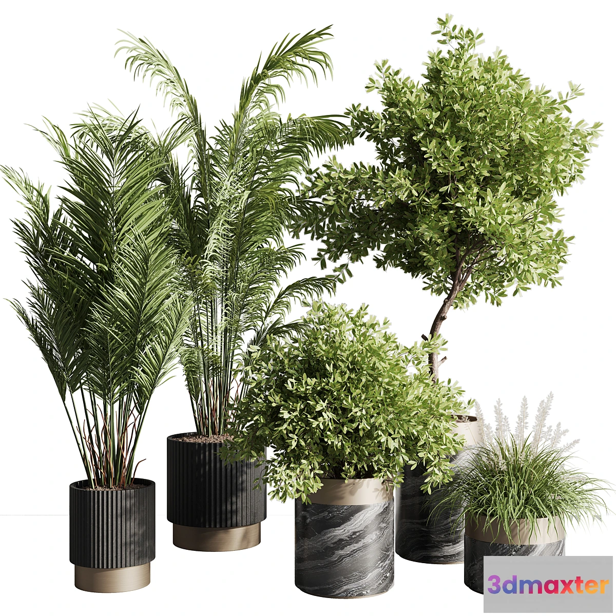 618201 - indoor plant set 57