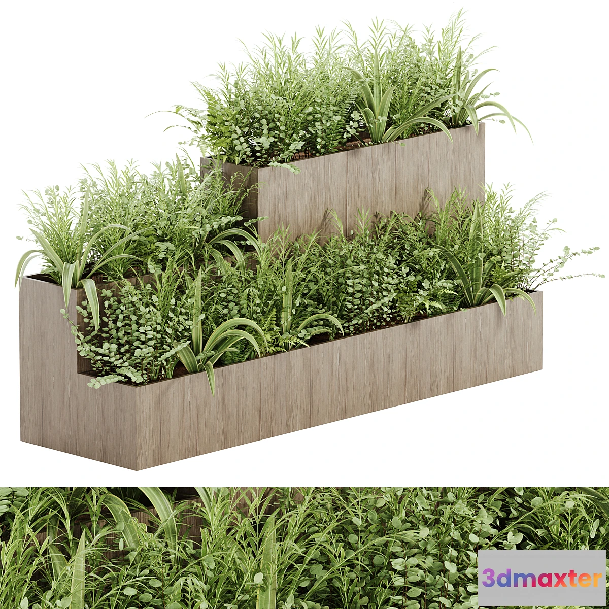 618219 - indoor plant Set 21